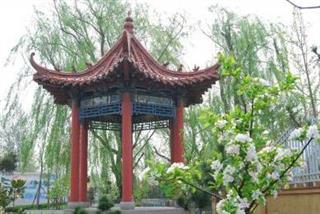 临沂电力